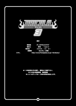 Page 25 of BRICOLA 3