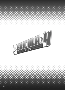 Page 22 of BRICOLA 4