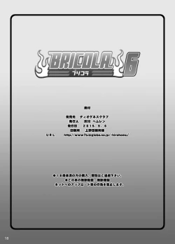 Page 10 of BRICOLA 6