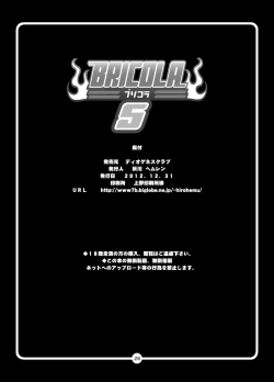 Page 25 of BRICOLA 5