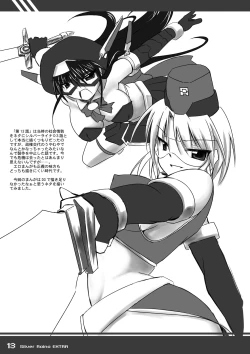 Page 13 of Kagaku Touki Silver Raina Extra