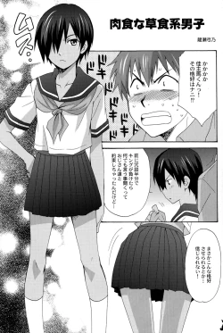 Page 28 of Kazuma Iro Zukan