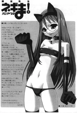 Page 39 of Magister Negi Magi! Maniax