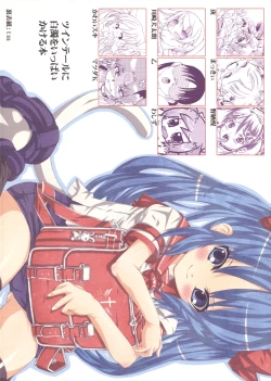 Page 42 of Twin Tail ni Hakudaku wo Ippai Kakeru Hon