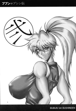 Page 3 of Bubun ga Bushinden 2