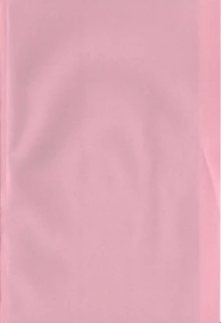 Page 4 of Bakunyuu Dou Deshou? - Bomber Chest Now?