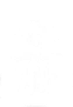 Page 11 of Pikohan F8