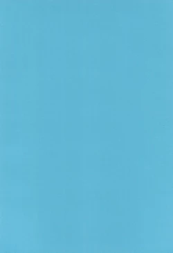 Page 4 of Sukumizu Hiyakeato-zoku 2009