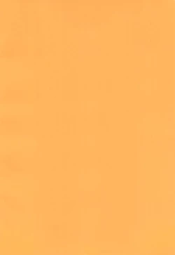 Page 4 of Guru Guru Complex