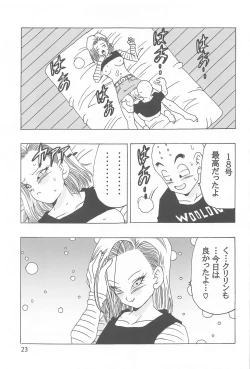 Page 24 of EPISODE OF ANDROID18