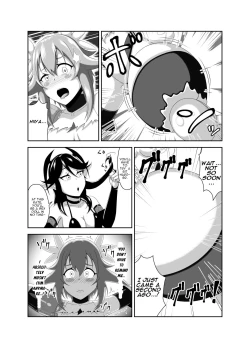 Page 17 of Seitenshi Fina