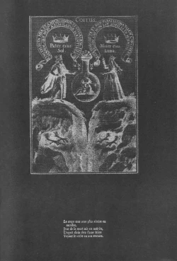 Page 47 of Dying flower cemetery