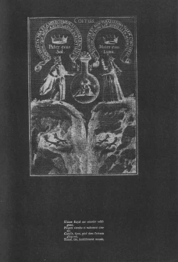 Page 5 of Dying flower cemetery