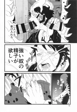 Page 13 of SEXUAL SELECTION