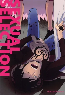 Page 22 of SEXUAL SELECTION