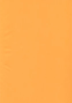 Page 2 of Megami ga Mizugi ni Kigaetara