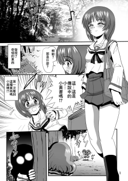 Page 3 of G Panzer 13