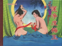 Page 344 of 金瓶梅后传 金屋梦 中国文苑出版社 卷一 ~ 六