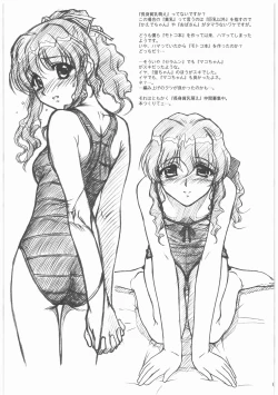 Page 38 of MOTOKO__s_FILE_壱