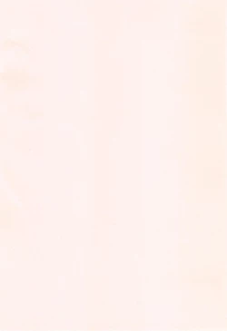 Page 217 of AV Lesson Hajimeru yo | AV授业要开始了喔♡