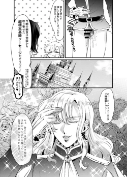 Page 12 of Secret Royal Rose