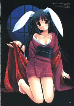 Page 17 of DRESSCODE