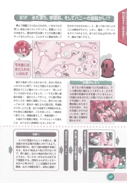 Page 133 of Official Alicesoft Full Completion Guide 2