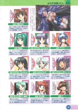 Page 31 of Official Alicesoft Full Completion Guide 2