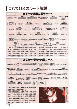 Page 120 of PC Bishoujo Software Strategy Book: Strategy King 2
