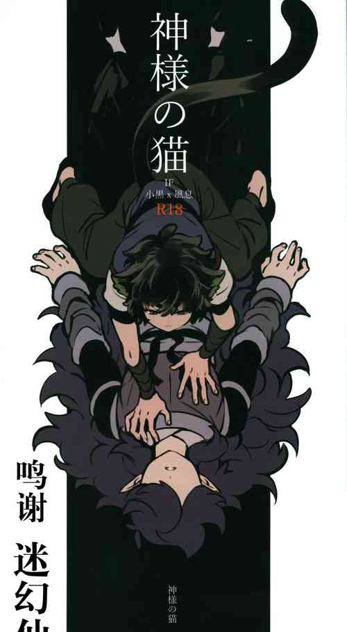 [NANIMO (52)] 神様の猫 (羅小黒戦記) [Chinese] [迷幻仙域x新桥月白日语社汉化]