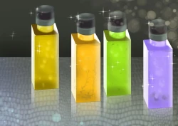 Page 255 of Celeb Hitozuma Kurokawa Sachi no Noukou Oil Massage Hatsu Taiken