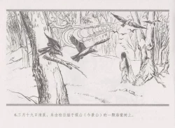 Page 14 of 史上名妓 倾国倾城 陈圆圆（下）（张子明 2012年3月）