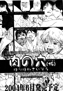 Page 41 of H no Aru Fuukei 3