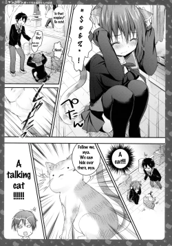 Page 11 of Nyancologysan no HimitsuHomecoming Nekota-san's Secret