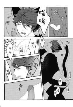 Page 11 of Iwa-chan no Neko ni Naritai | 我想成为小岩的猫