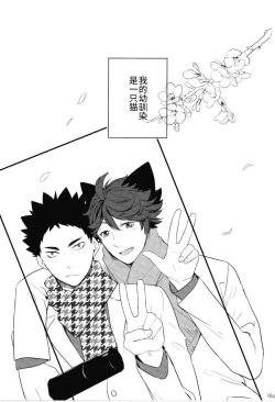 Page 4 of Iwa-chan no Neko ni Naritai | 我想成为小岩的猫