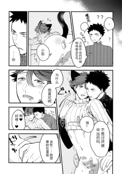 Page 25 of Iwachan no Neko ni Naritai Sairoku-Shuu | 我想成为小岩的猫 再录集