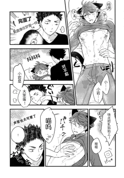 Page 17 of Iwa-chan no Neko ni Naritai 3 | 我想成为小岩的猫3