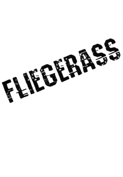Page 3 of FLIEGERASS