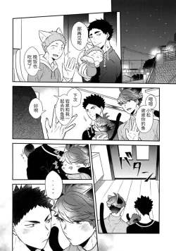 Page 31 of Iwa-chan no Neko ni Naritai 7 | 我想成为小岩的猫7