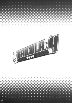 Page 23 of Bricola 4