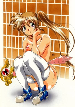 Page 12 of Boku to Nanoha de Ichakora Suru Hon