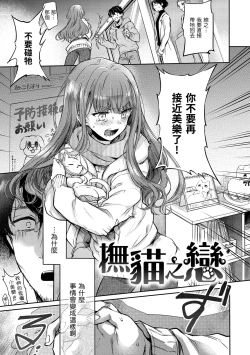 Page 53 of Yumeutsutsu Romantic | 朦朧之間的浪漫