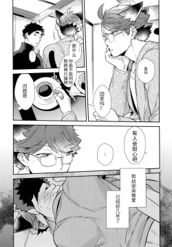 Page 17 of Iwa-chan no Neko ni Naritai| 我想成为小岩的猫