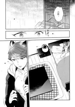 Page 33 of Iwa-chan no Neko ni Naritai| 我想成为小岩的猫