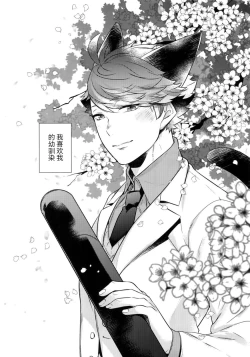 Page 3 of Iwa-chan no Neko ni Naritai| 我想成为小岩的猫