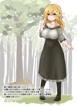 Page 12 of Elf o Okasu Hon 2 | A Book About Raping an Elf 2