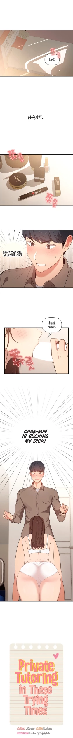 Page 100 of Private Tutoring in These Trying Times 01-14