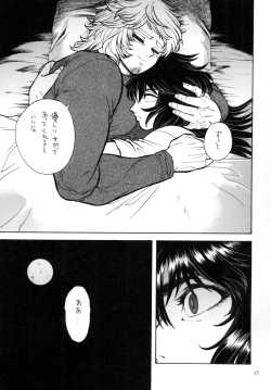 Page 25 of Yoasobi Mesu Aniki