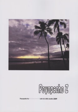 Page 2 of Poyopacho Z